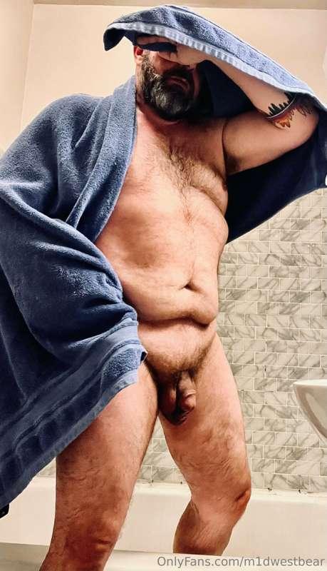 m1dwestbear image #2