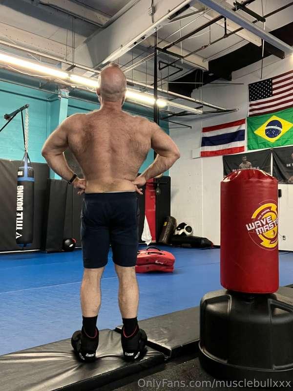 musclebullxxx image #1