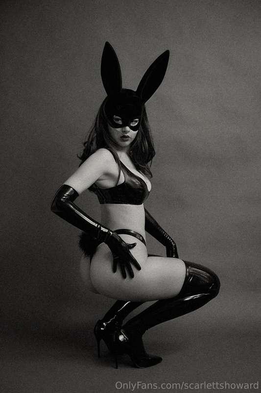 🐰
