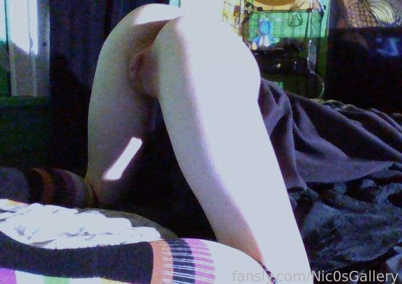 nic0sgallery image #3