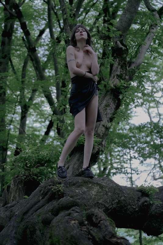 auddicted image #2