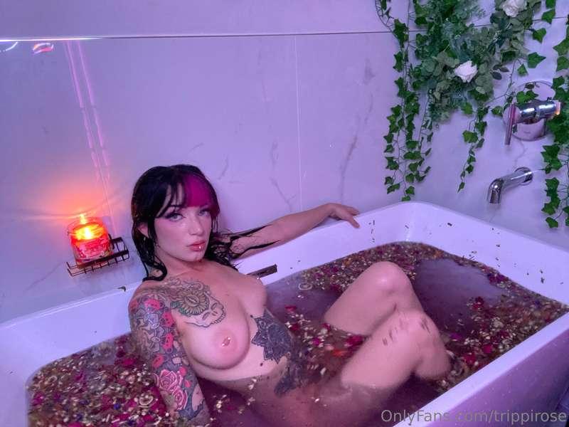 trippirose image #14