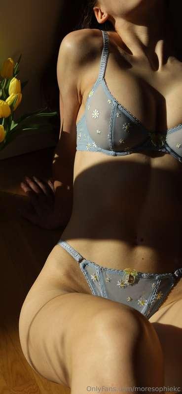 moresophiekc image #1