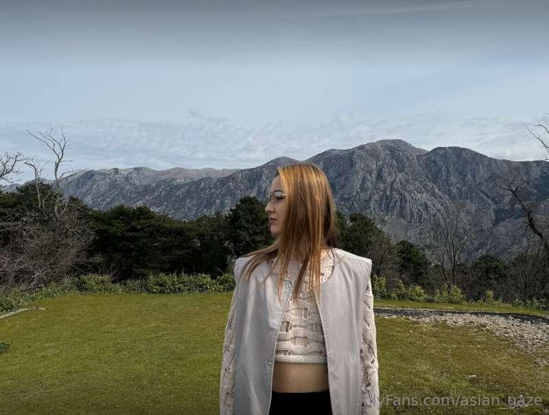 Amidst a picturesque forest, where emerald canopies dance in..