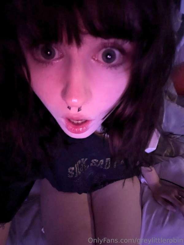 greylittlerobin main image