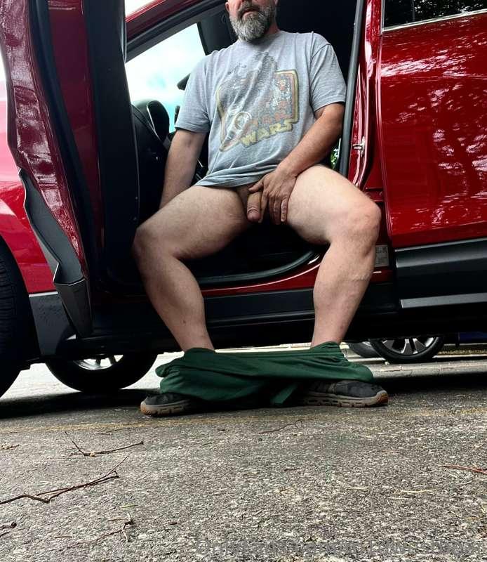 m1dwestbear image #0