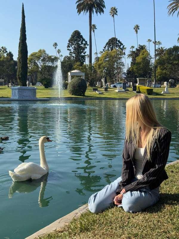 🦢🥰