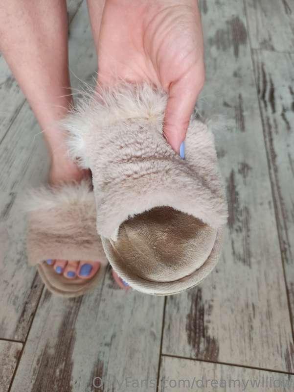 dreamywillow image #0