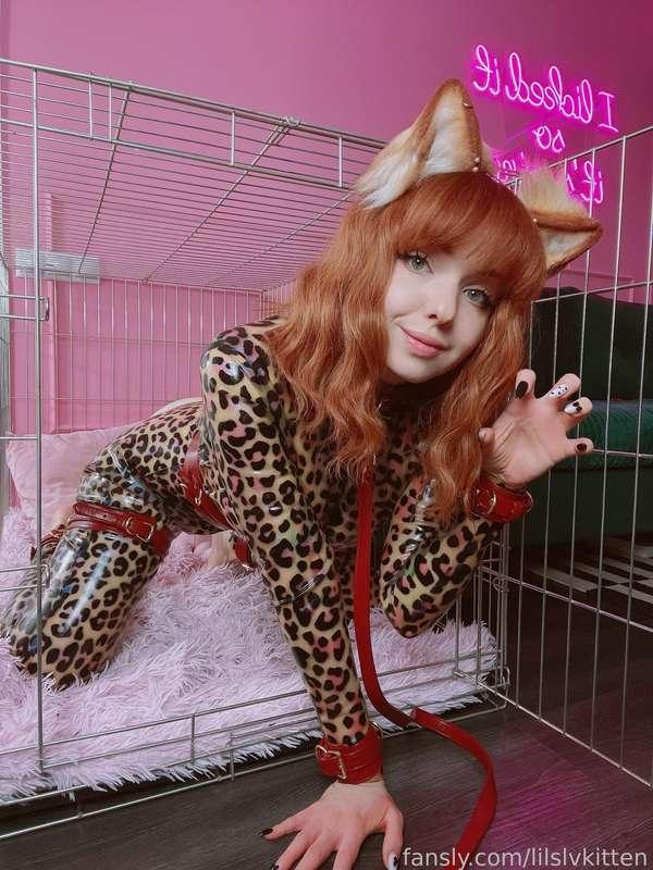 lilslvkitten image #3
