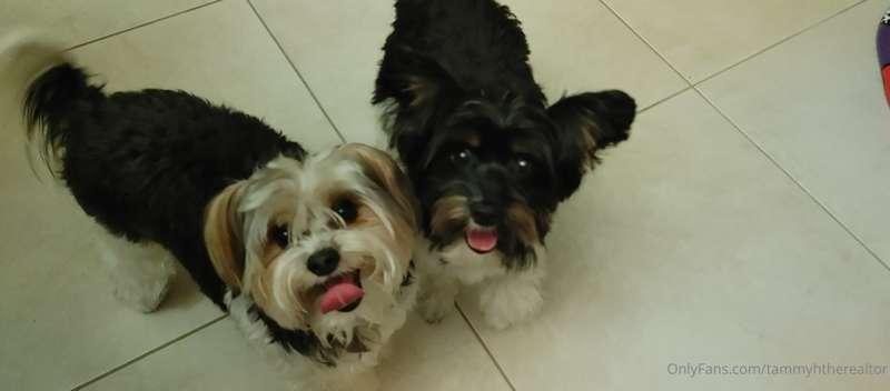 Gizmo had his relative stop by isn't she cute?