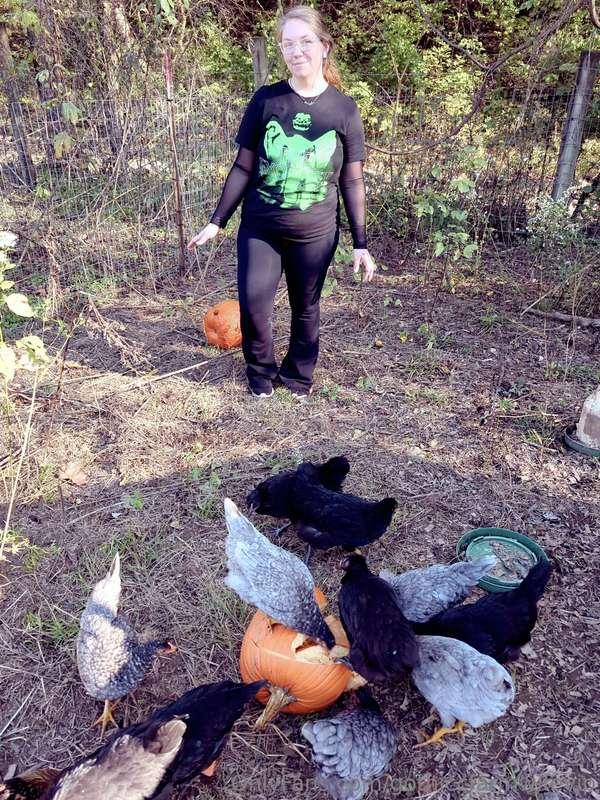 Gave the birds some pumpkins for a treat