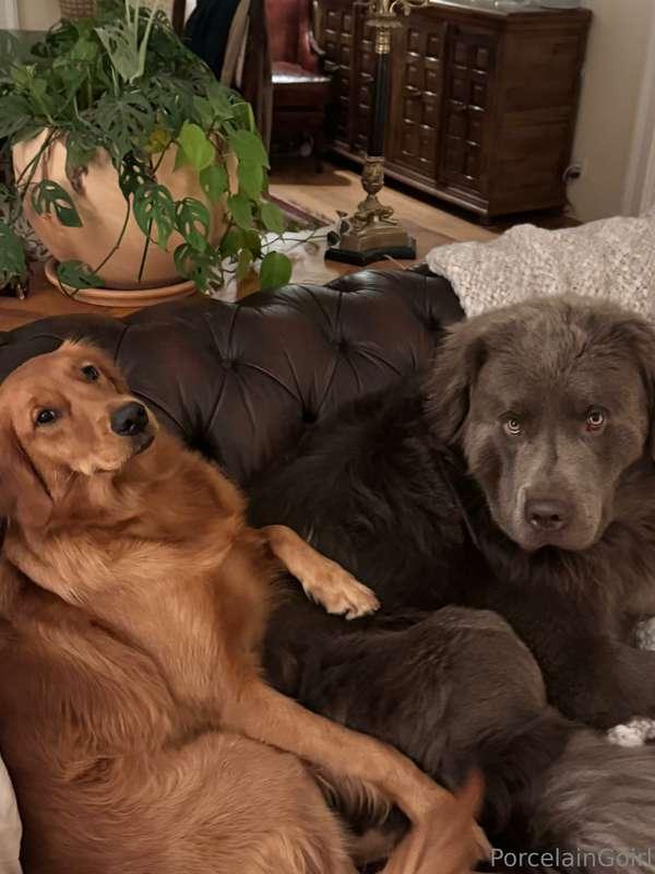 Maybe I'll buy a new couch just for ME! lmao