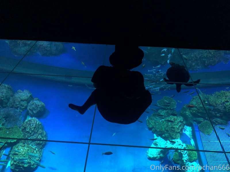 I was healed when I went to the aquarium.