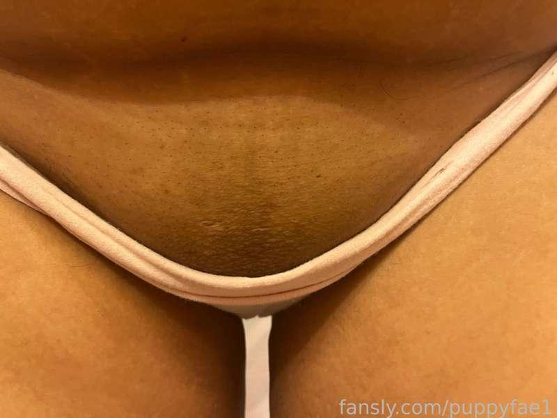 puppyfae1 image #1