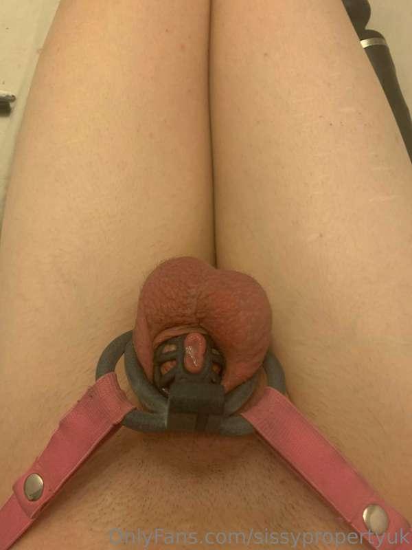sissypropertyuk image #1