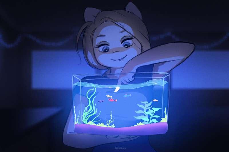 dream aquarium