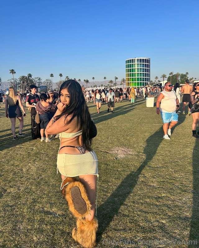 🌺
