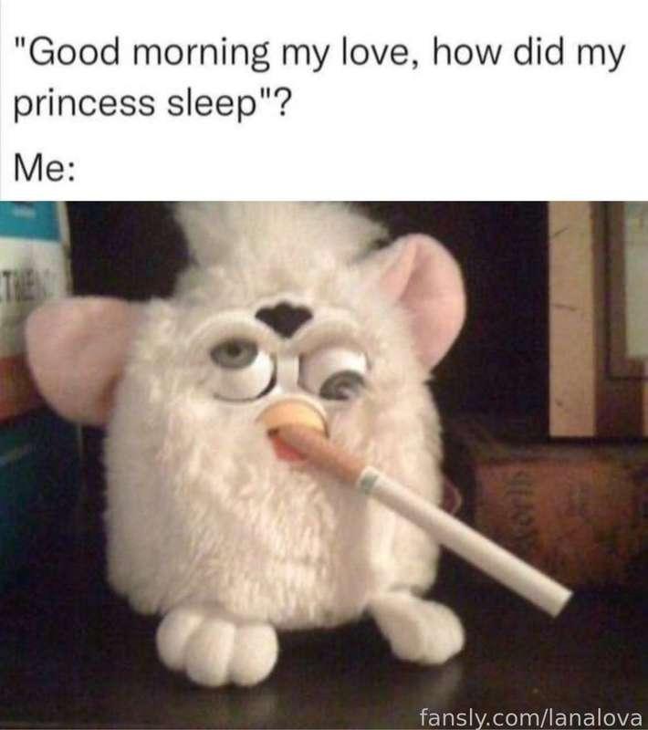 Me url:

#meme #joke #fun