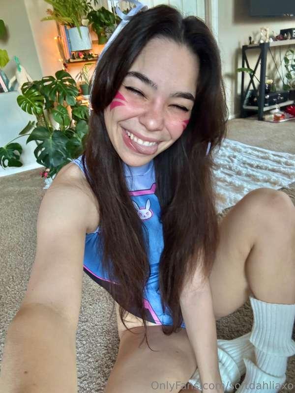 softdahliaxo main image