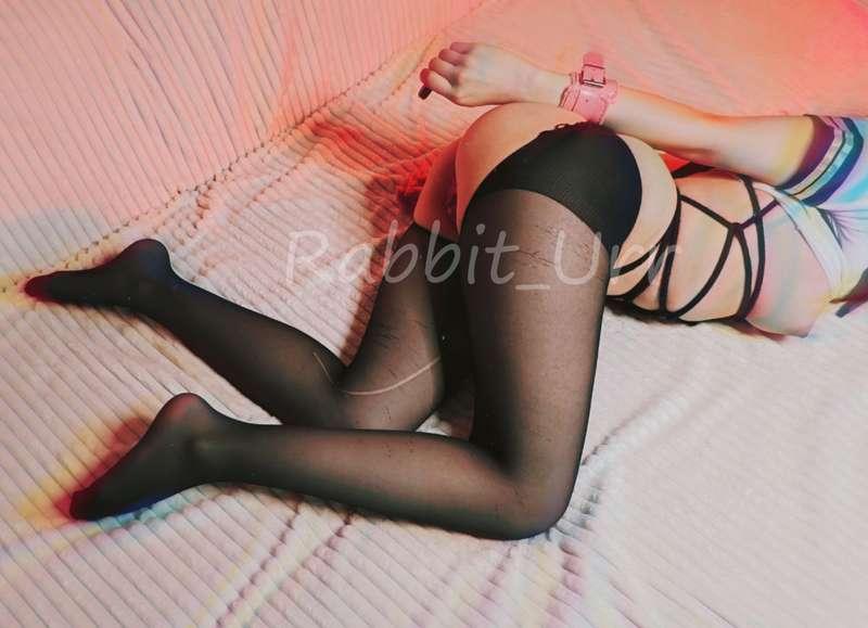 rabbit_urr image #11