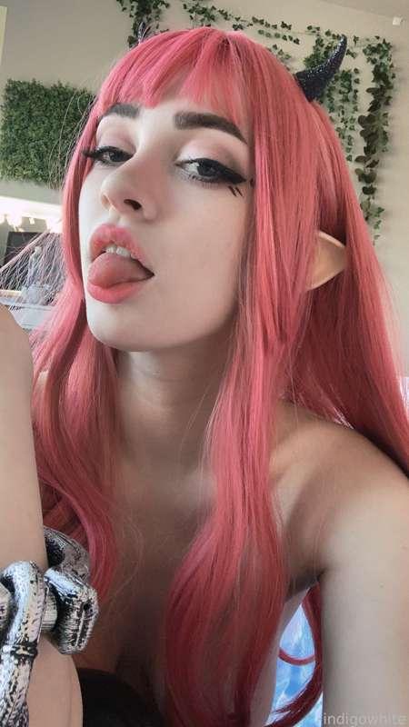 indigowhite image #135