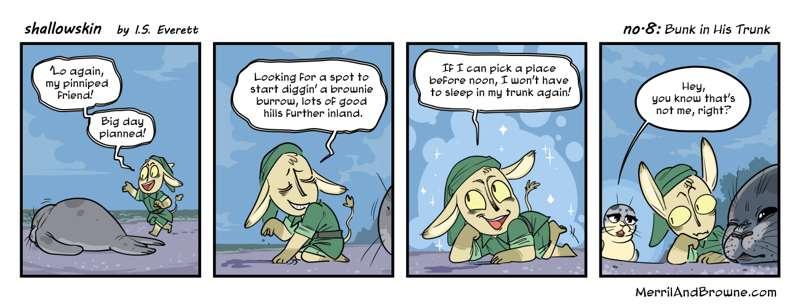 shallowskin Strip #8