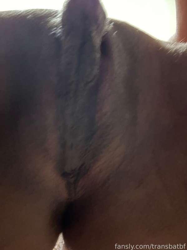 transbatbf image #12