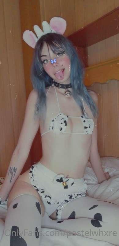 pastelwhxre image #1
