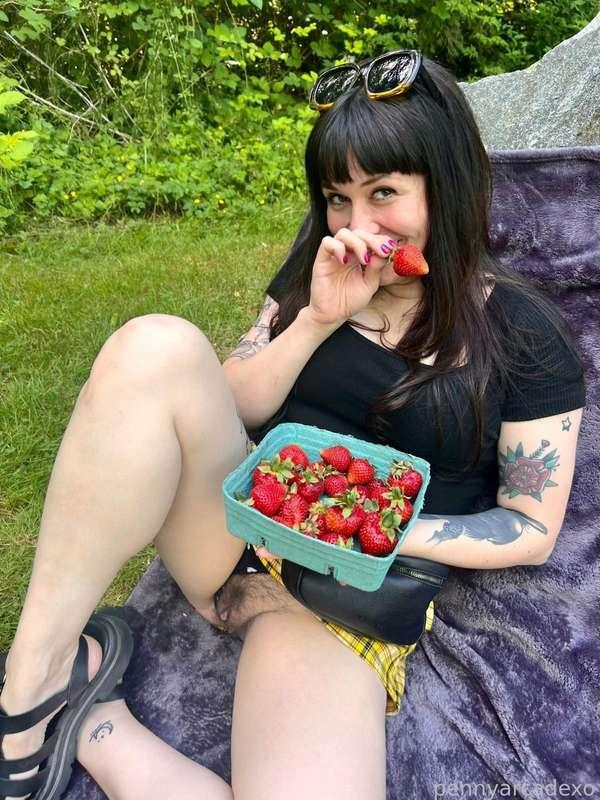 pennyarcadexo image #2