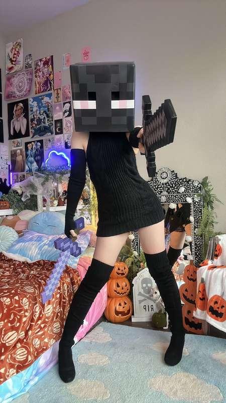 indigowhite image #46