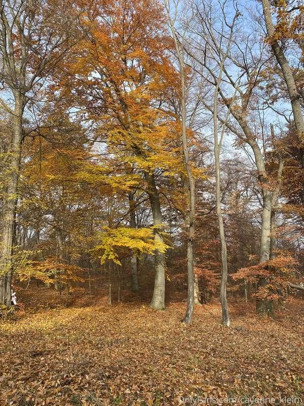 cayenne_klein_ image #18