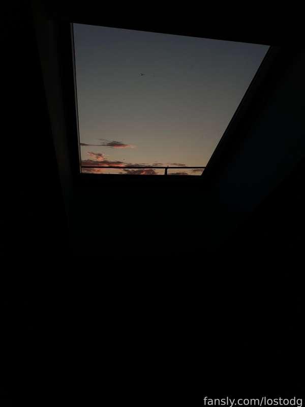 lostodg image #1