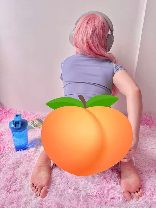 smolsachii image #0