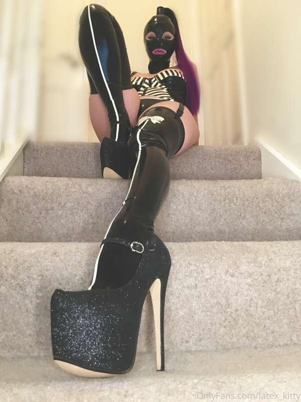 latex_kitty main image