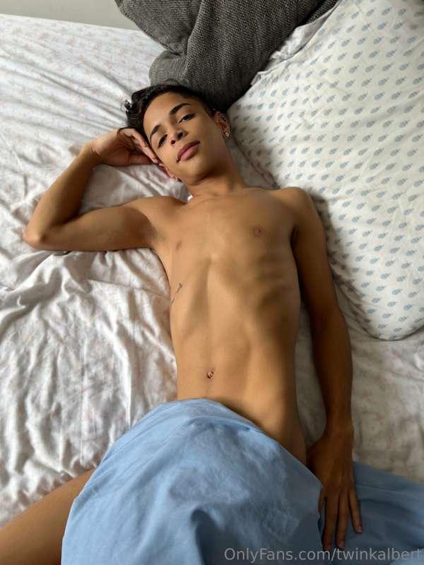 twinkalbert image #1