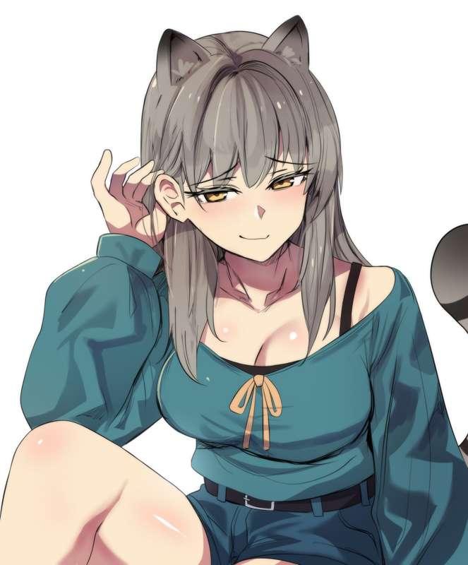 Smirking Raccoon 🦝
