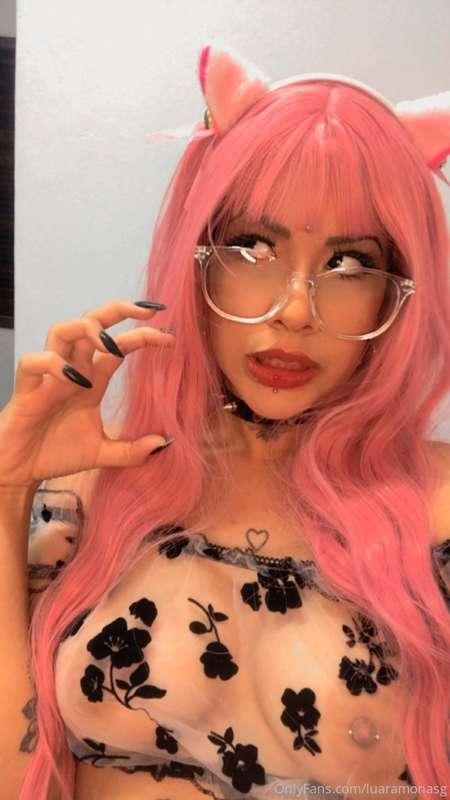Pink Cat 💖
