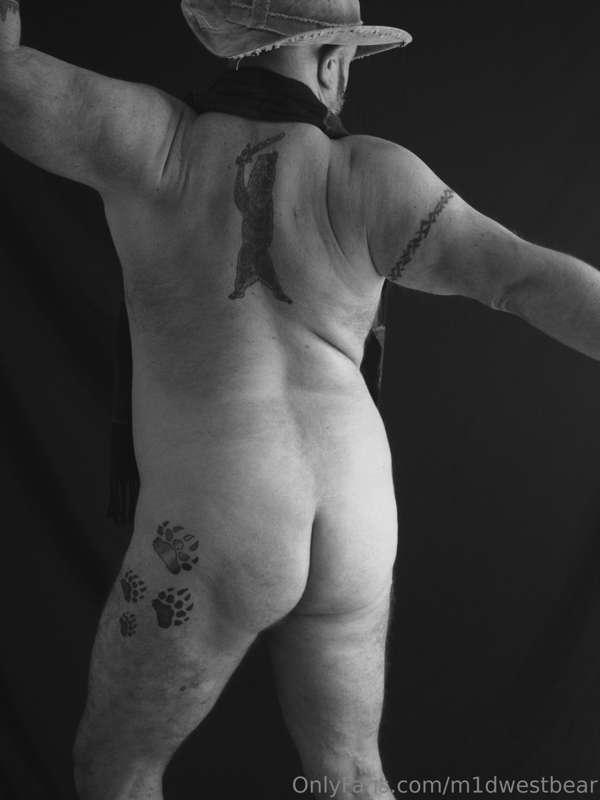m1dwestbear image #21