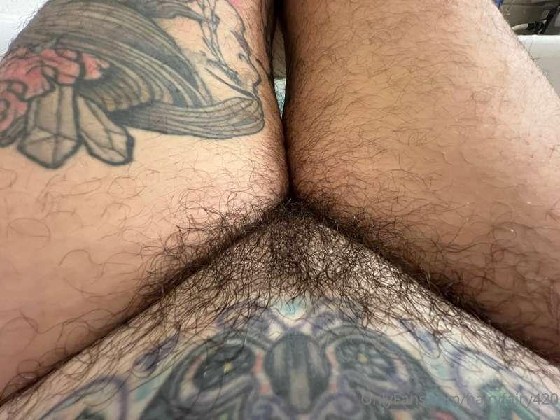 hairyfairy420 image #4
