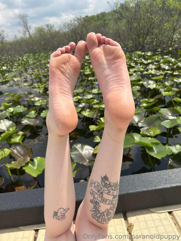 paranoidpuppy image #7