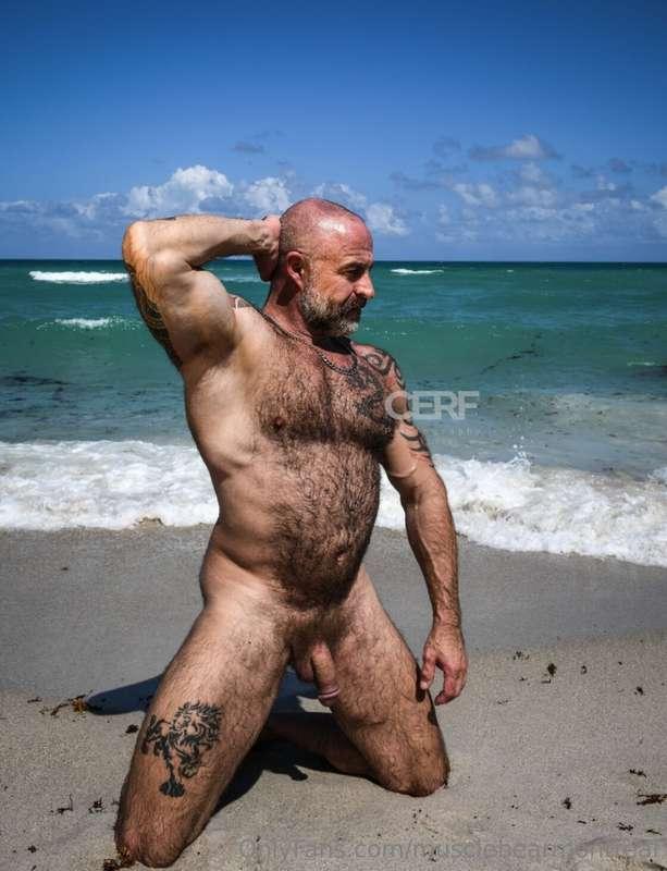 musclebearmontreal image #7