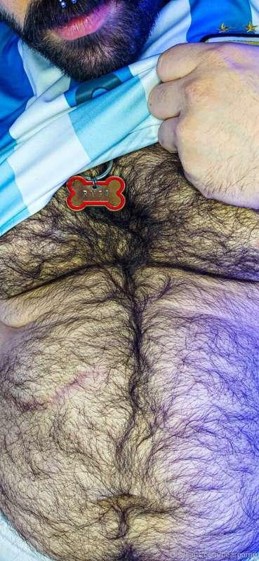 bearpamp image #3