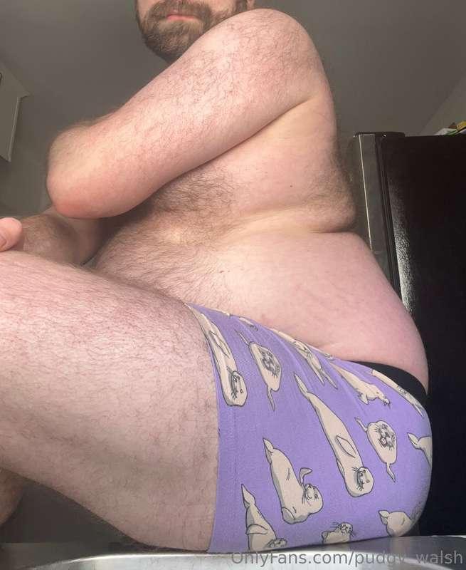 pudgy_walsh image #3