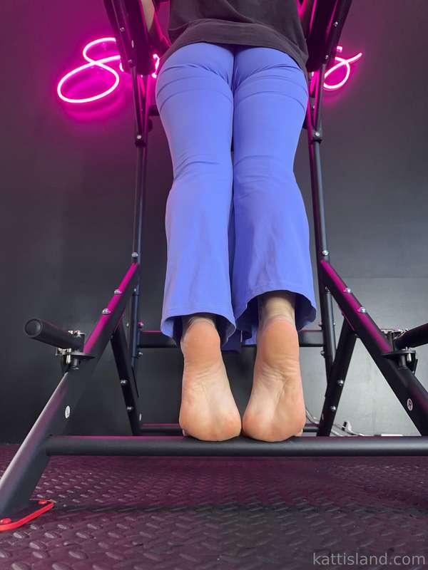 kattinthehatfree image #0