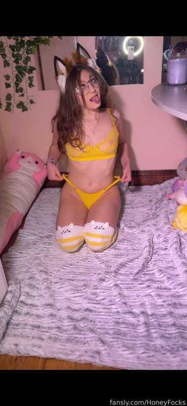 honeyfocks image #13