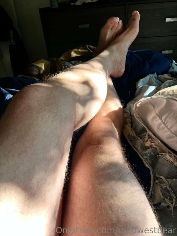 m1dwestbear image #6