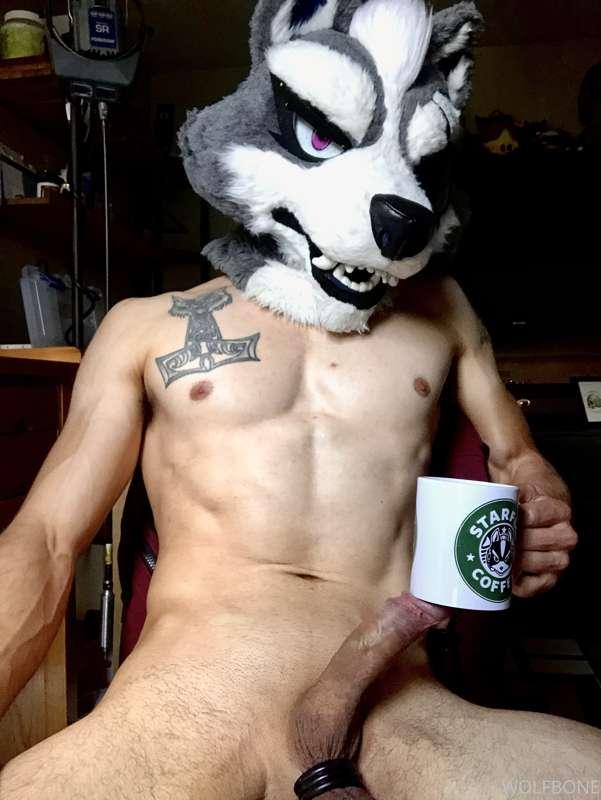 What flavor of cream do you like in your coffee?? ☕️ 🐺