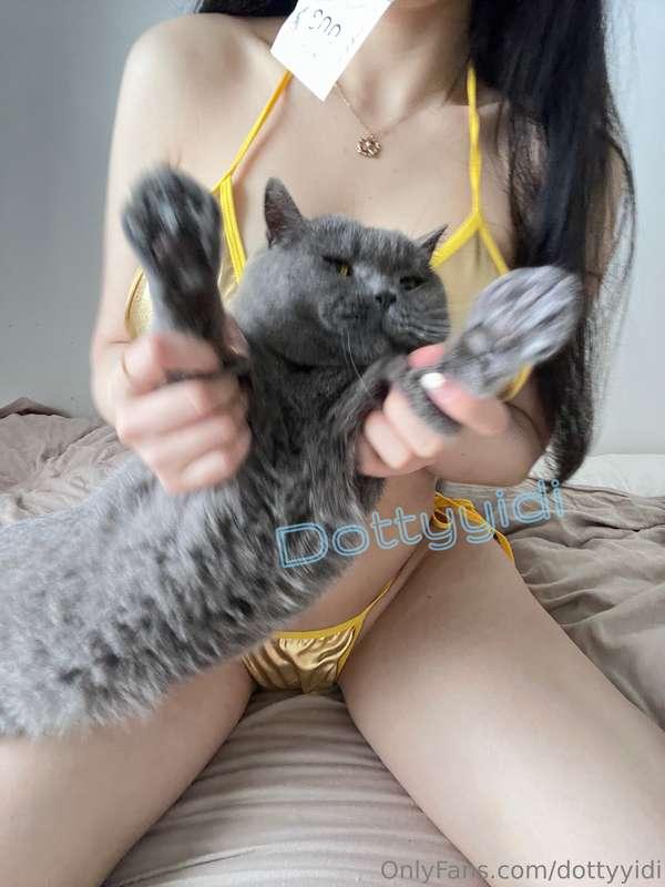 臭猫不让我拍照！Any photographer here? I do need help from you>~<