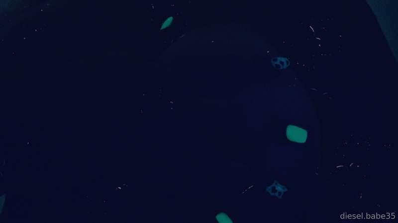 dieselbabee35 image #2