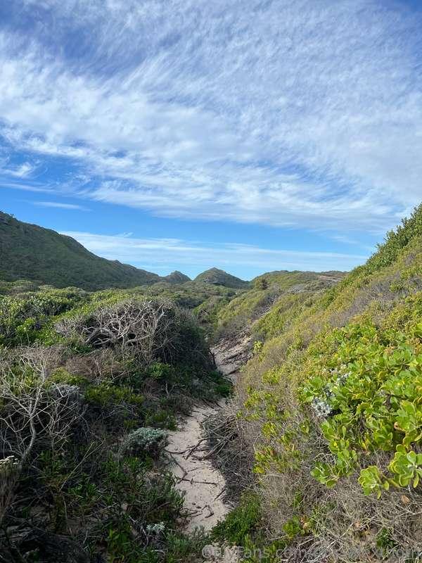 missalexthorn image #4